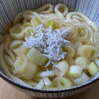 白ねぎとしらすのうどん◇あったか*やわらか◇